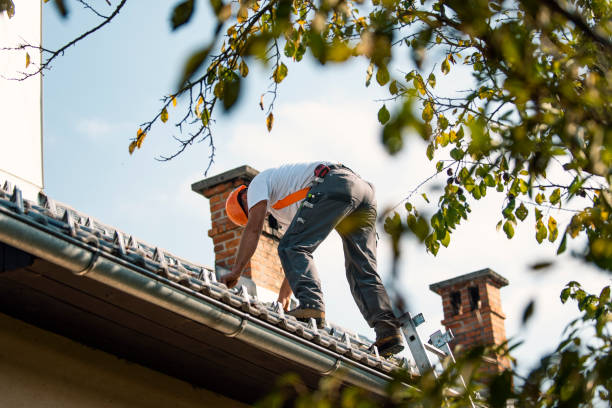 Professional Roofing Services in Rancho Santa Margarita, CA
